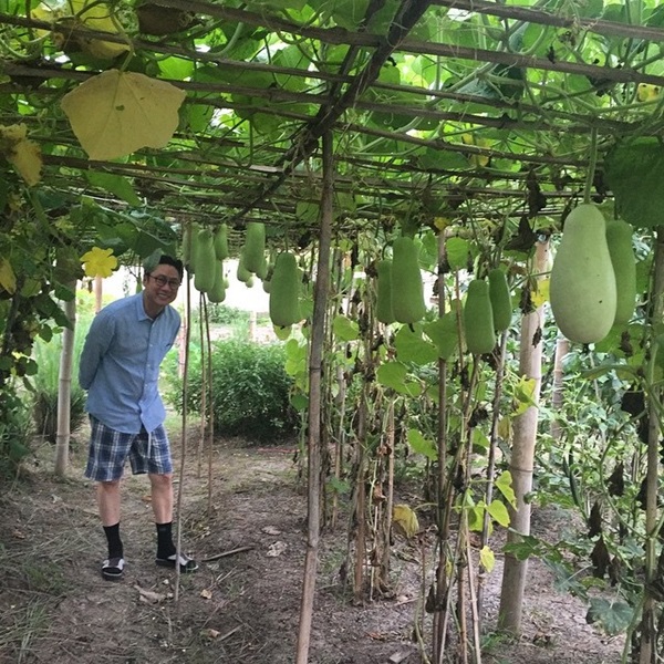 ปัญญา นิรันดร์กุล