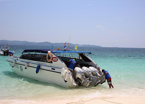 พบแนวปะการังเกาะไข่นอก-เกาะไข่ใน เสียหายแ