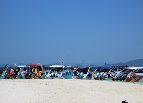 พบแนวปะการังเกาะไข่นอก-เกาะไข่ใน เสียหายแ