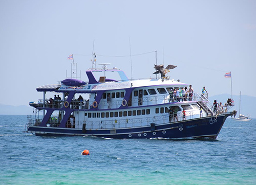 พบแนวปะการังเกาะไข่นอก-เกาะไข่ใน เสียหายแ