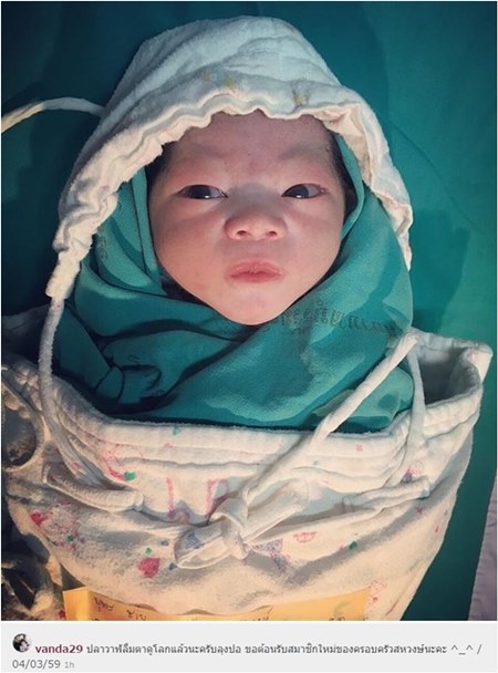 น้องปลาวาฬ 