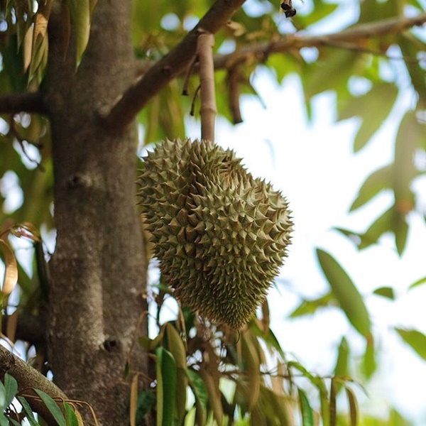 ดีเจพุฒิ พุฒิชัย