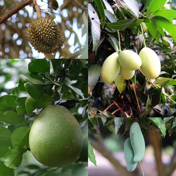 ดีเจพุฒิ พุฒิชัย