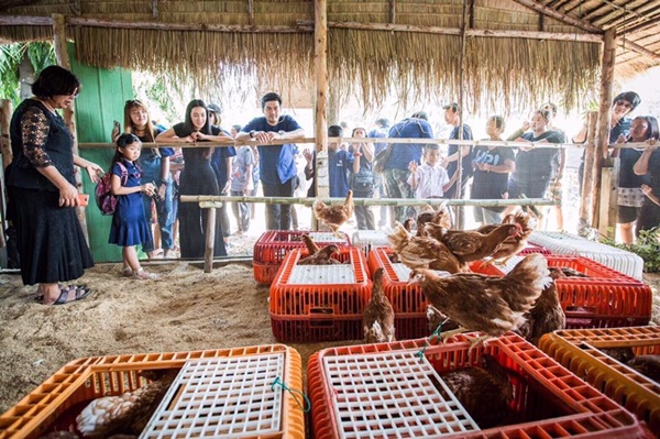 นุ่น วรนุช ต๊อด ปิติ