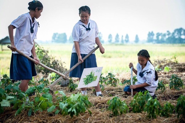 นุ่น วรนุช ต๊อด ปิติ