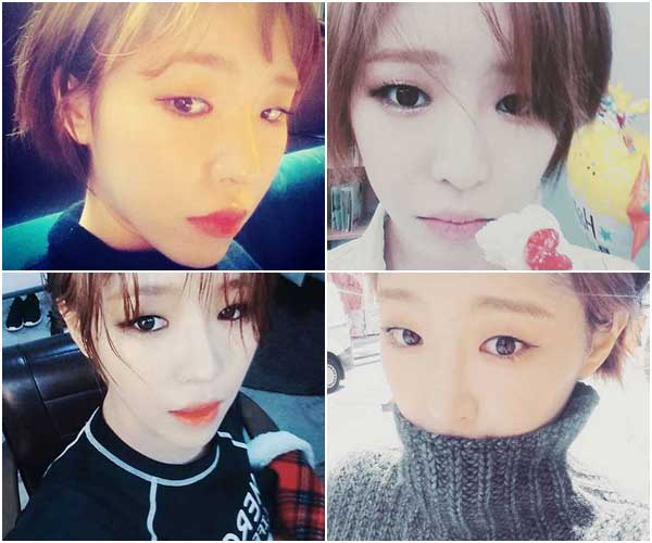 ดาราตาชั้นเดียว