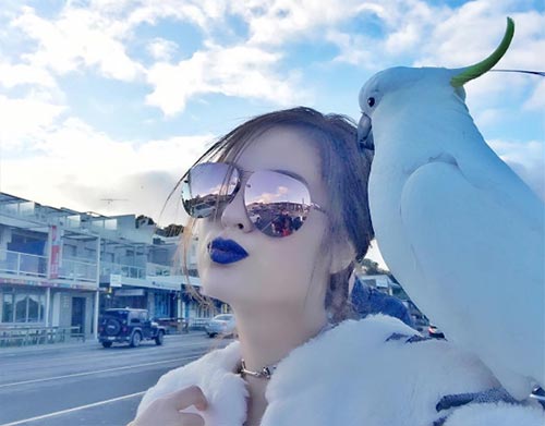 แว่นกันแดดดารา