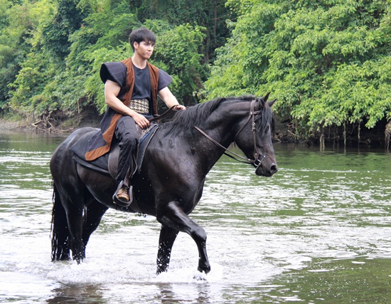 ดอกไม้ใต้เมฆ