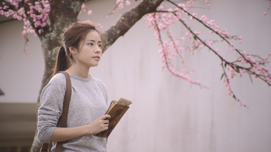 หมอกสีจางกับน้ำค้างสีชมพู หมอกสีจางกับน้ำค้างสีชมพู