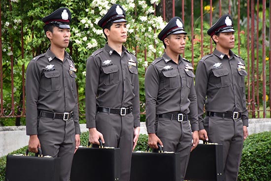  กุหลาบตัดเพชร