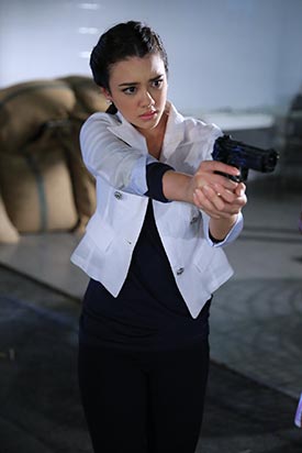 ดาวหลงฟ้าภูผาสีเงิน