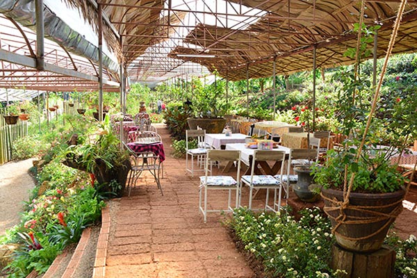 สวนดอกไม้โครงการหลวง