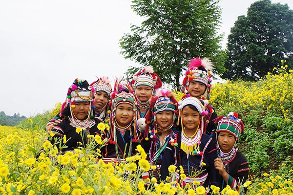 สวนดอกไม้โครงการหลวง