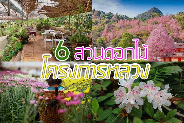 สวนดอกไม้โครงการหลวง