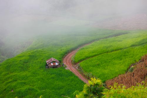 ศูนย์พัฒนาโครงการหลวงห้วยแล้ง จังหวัดเชียงราย