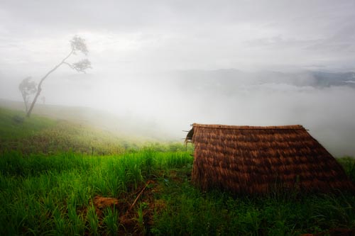 ศูนย์พัฒนาโครงการหลวงห้วยแล้ง จังหวัดเชียงราย