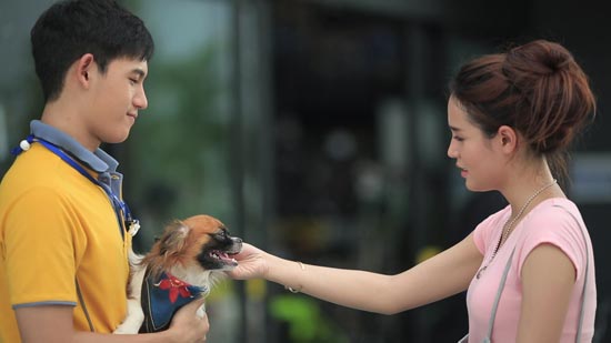 เดียร์ The Mazz MV เพลง เลี้ยงง่ายง่ายผู้ชายโง่โง่