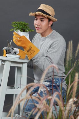 บุษบาเร่ฝัน 