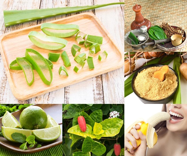 สมุนไพรแก้ผดผื่นคันหน้าร้อน