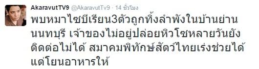 เร่งช่วย ! หมาไซบีเรียน 3 ตัว ถูกเจ้าของทิ้งให้อยู่ลำพังหลายวัน จนหิวโซ