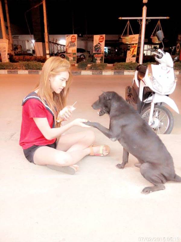 หมาหน้าเซเว่น