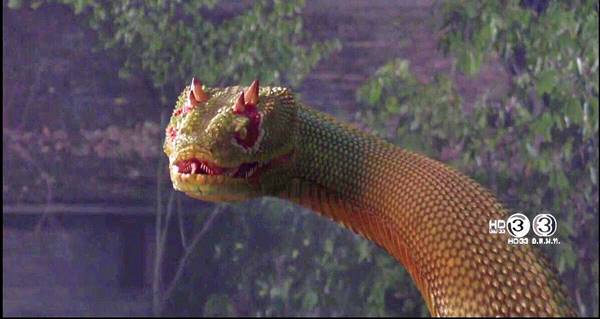 นาคีตอนจบ