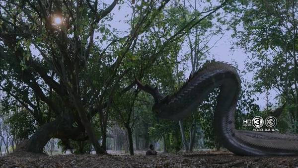 นาคีตอนจบ