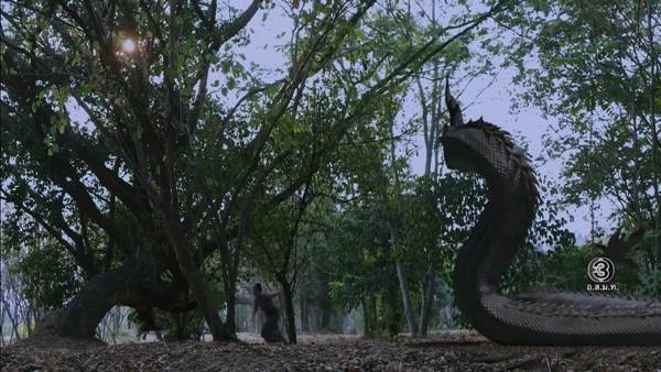 นาคีตอนจบ