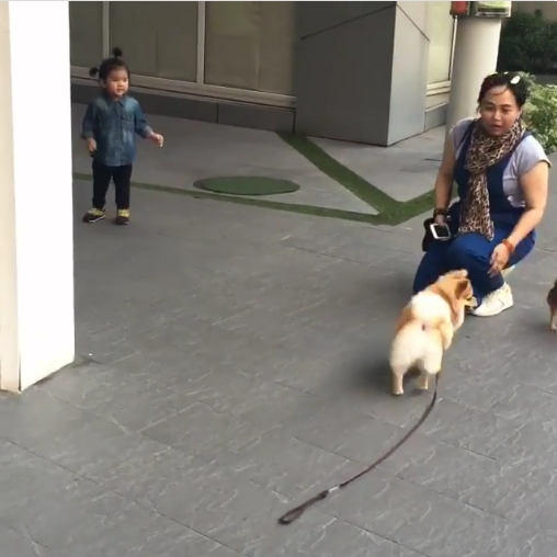 น้องมะลิ ลูกสาวปอ ทฤษฎี