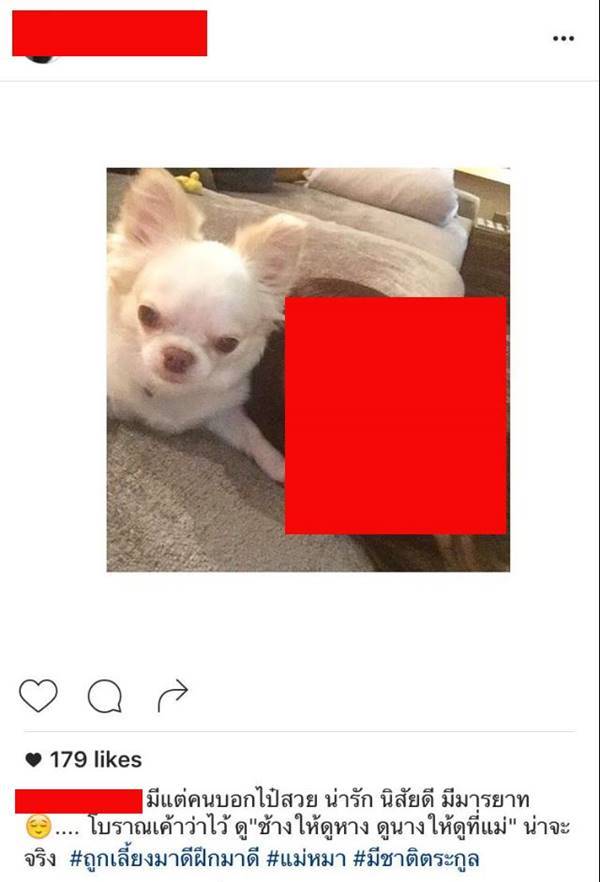 เฟี๊ยต สามีโอ๋ ภัคจีรา