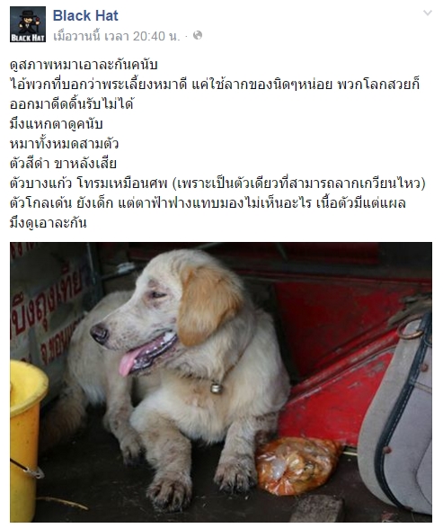 พระหนูทีใช้หมาบิณฑบาตร