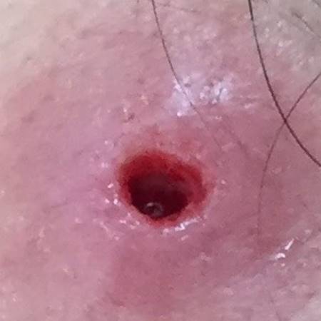 กวาง กมลชนก