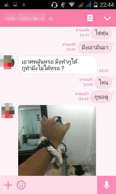 บีบคอหมา