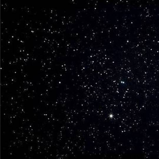 เฟย์ เฟย์ฟางแก้ว