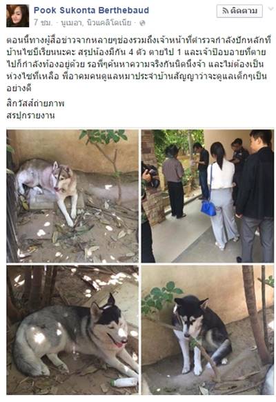ลอยด์ หมาชิบะ