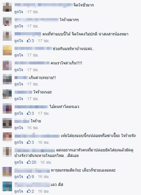 ลูกหมาถูกทิ้ง