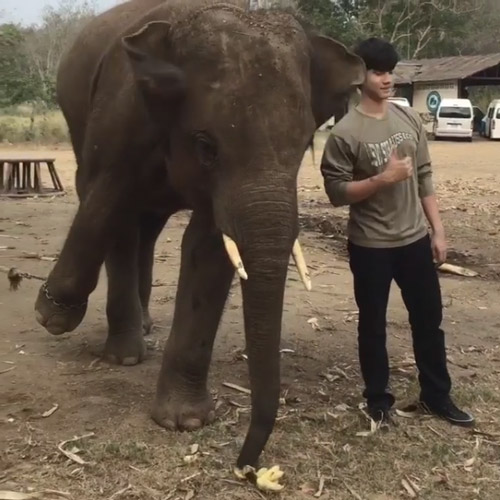 มาริโอ้ เผยคลิปฮา ขวัญเมืองนี่โอ้เอง