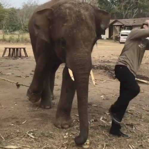 มาริโอ้ เผยคลิปฮา ขวัญเมืองนี่โอ้เอง