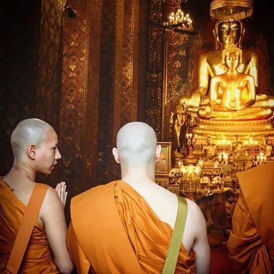 เป๊ก ผลิตโชค ดิม Tattoo Colour บวชถวายในหลวง ร.9