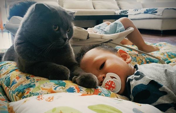 น้องแพนเตอร์ น้องพูม่า