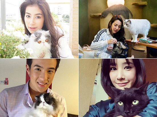 ส่องภาพสุดมุ้งมิ้ง ดาราคนดังกับเจ้าเหมียว เนื่องในวันกอดแมวสากล