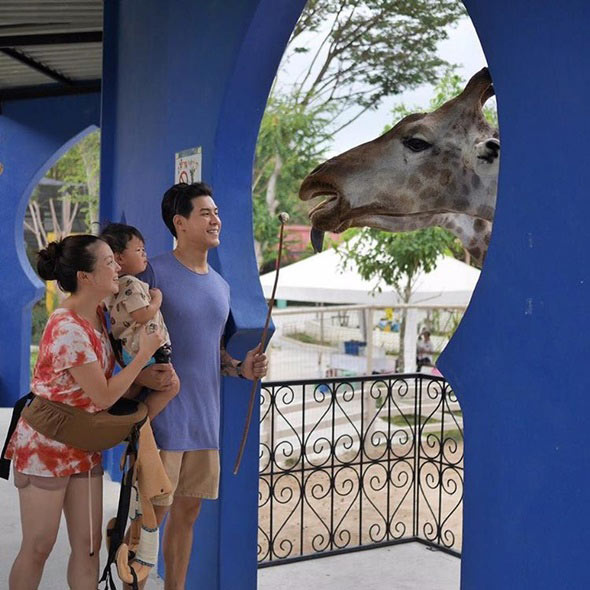 กาย ฮารุ