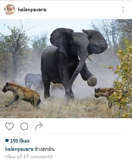 ฉะเดือด เฮเลน-เกล้า ผู้จัดการ ใหม่ ดาวิกา-ด้าน ใหญ่ อมาตย์ ทีมเกล้า