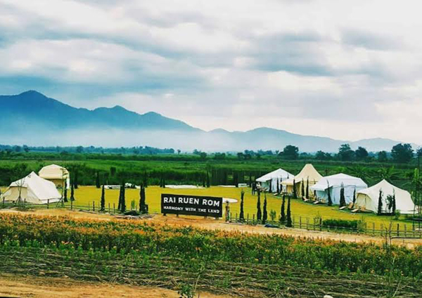 ไร่เชียงราย