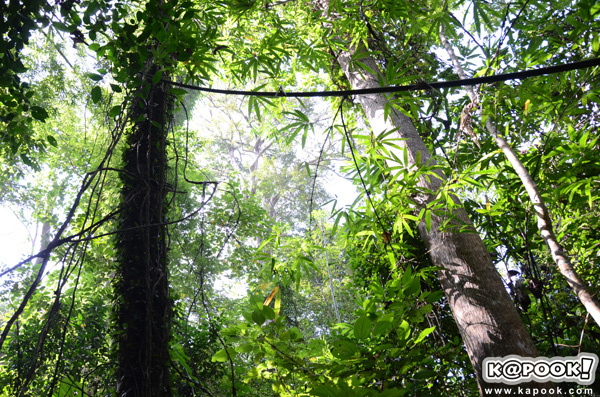 ที่เที่ยวหน้าร้อน ไม่ใช่ทะเล 