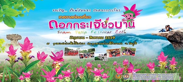 ดอกกระเจียวบาน