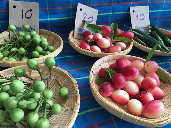 Green Market @Hua Hin