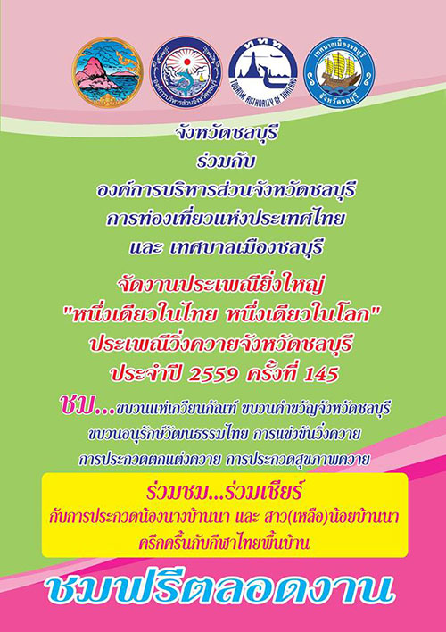 ประเพณีวิ่งควาย 2559