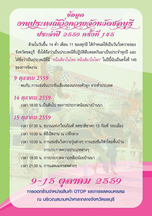 ประเพณีวิ่งควาย 2559