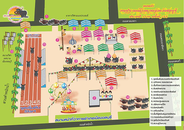 ประเพณีวิ่งควาย 2559